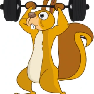 Squirrel lifting weights at the gym